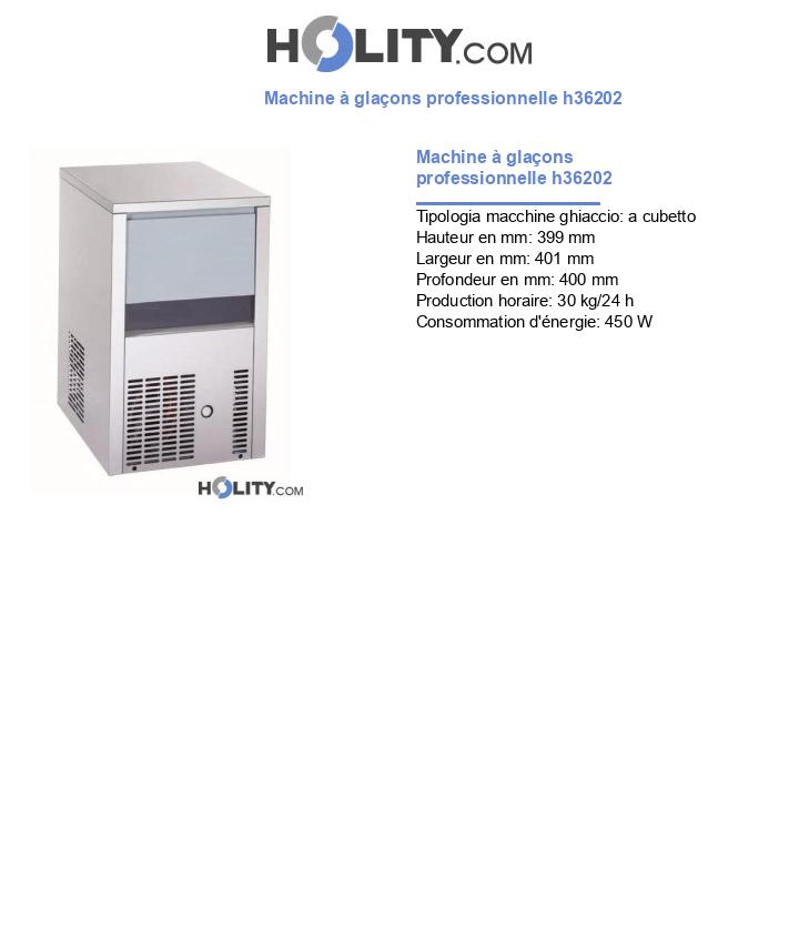 Machine à glaçons professionnelle h36202