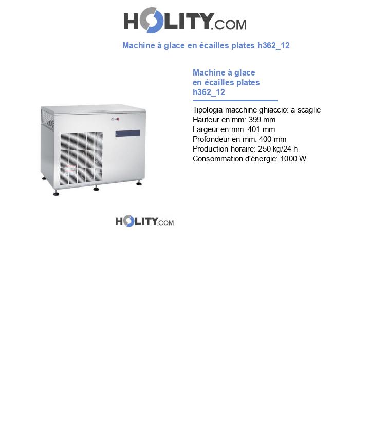 Machine à glace en écailles plates h362_12
