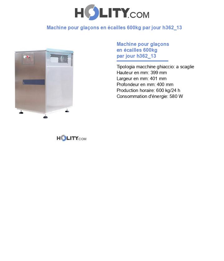 Machine pour glaçons en écailles 600kg par jour h362_13