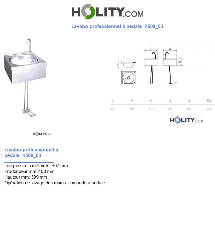 Lavabo professionnel à pédale  h509_03