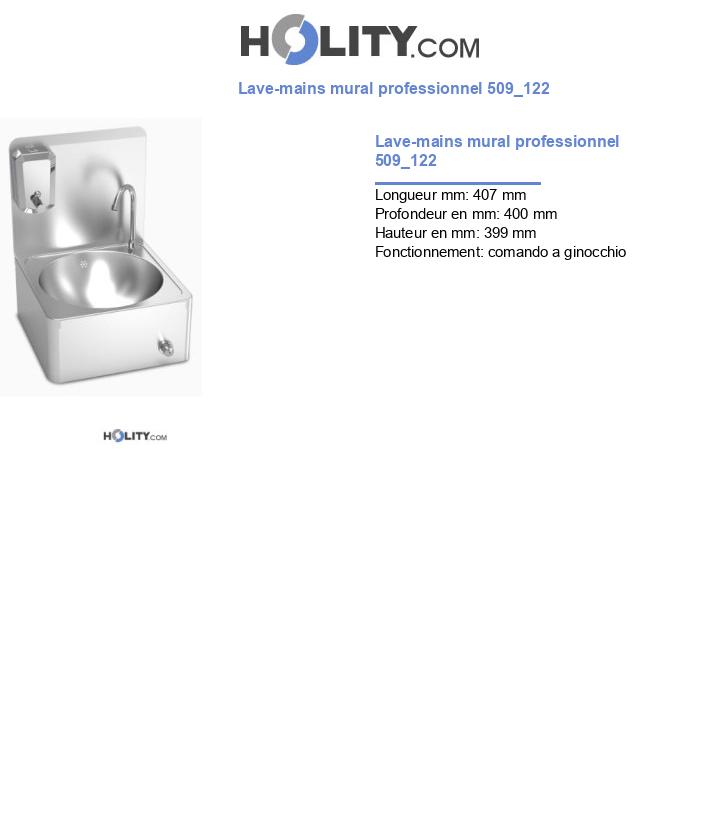 Lave-mains mural professionnel 509_122