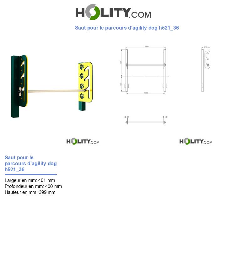 Saut pour le parcours d'agility dog h521_36