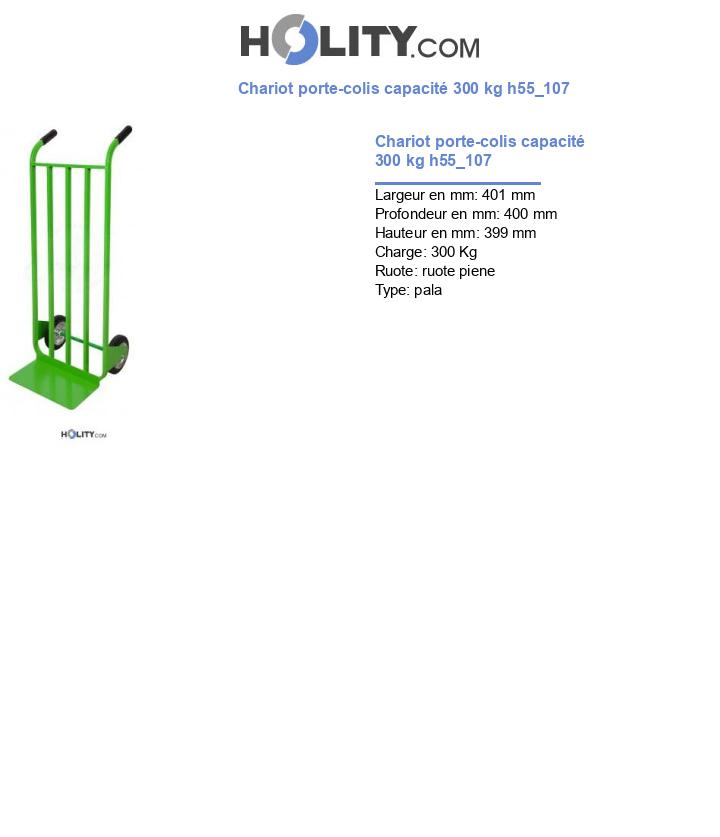 Chariot porte-colis capacité 300 kg h55_107