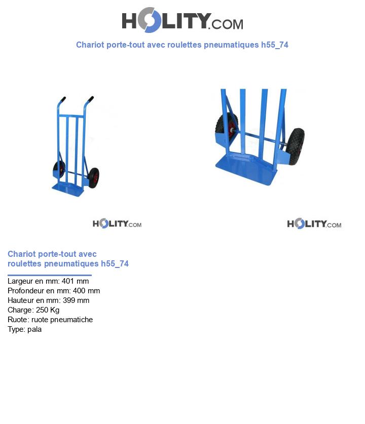 Chariot porte-tout avec roulettes pneumatiques h55_74