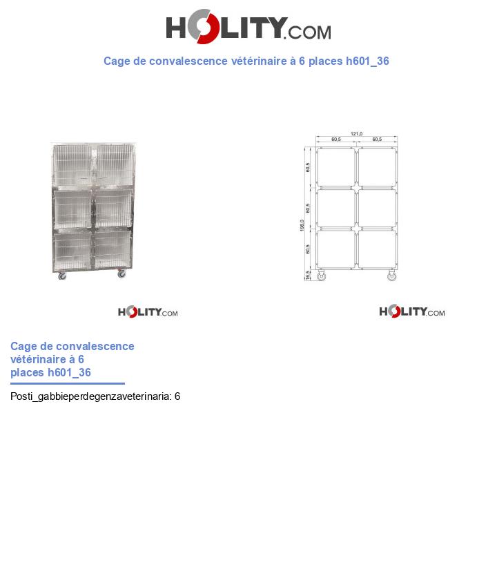 Cage de convalescence vétérinaire à 6 places h601_36