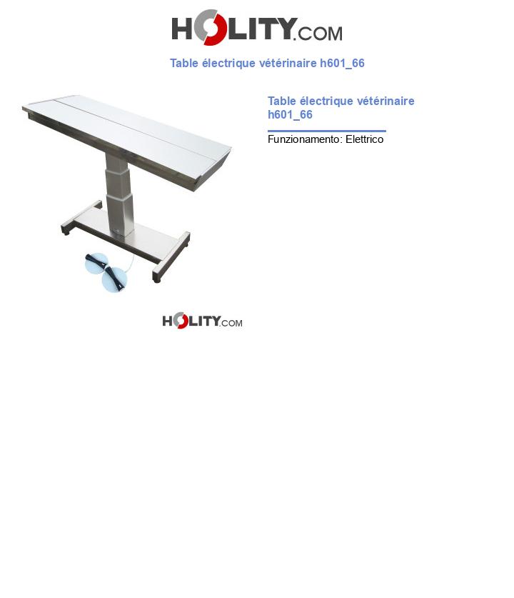 Table électrique vétérinaire h601_66