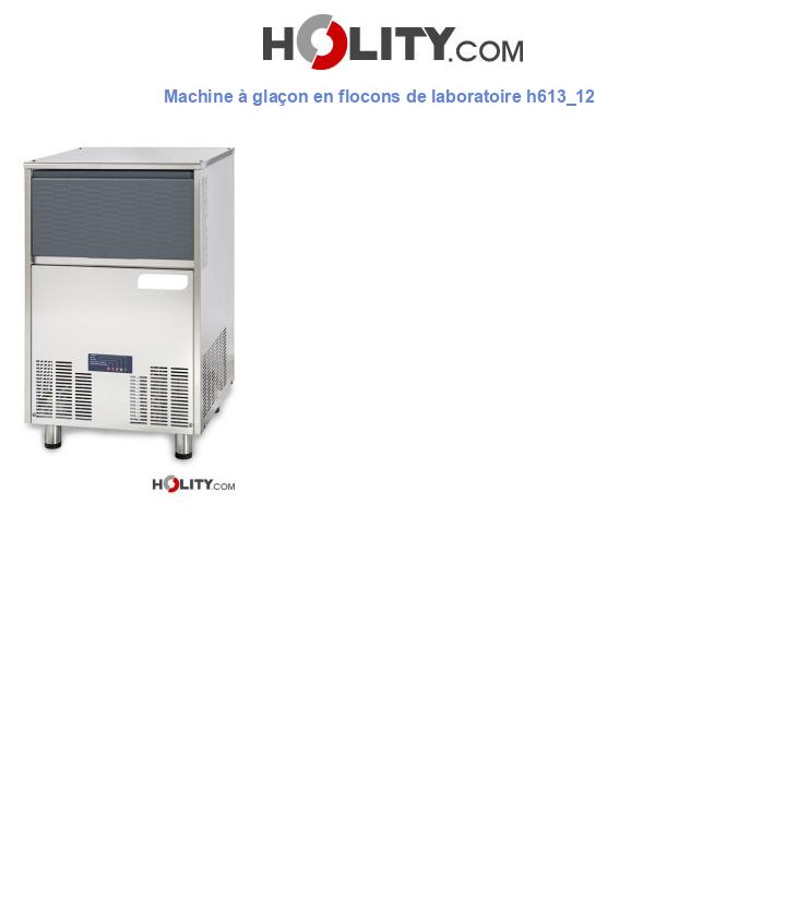 Machine à glaçon en flocons de laboratoire h613_12