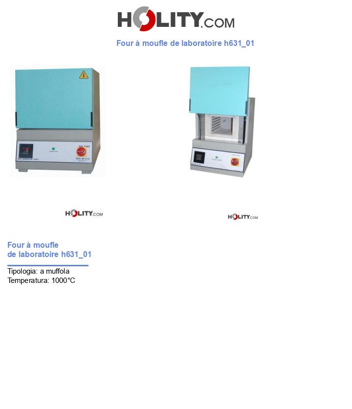 Four à moufle de laboratoire h631_01