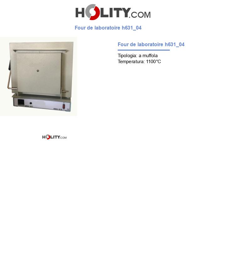Four de laboratoire h631_04