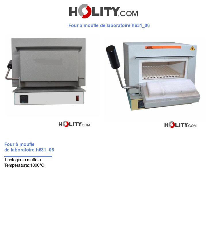 Four à moufle de laboratoire h631_06