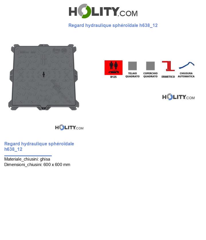 Regard hydraulique sphéroïdale h638_12