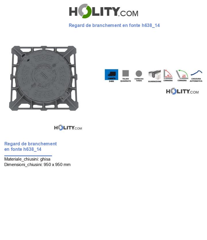 Regard de branchement en fonte h638_14