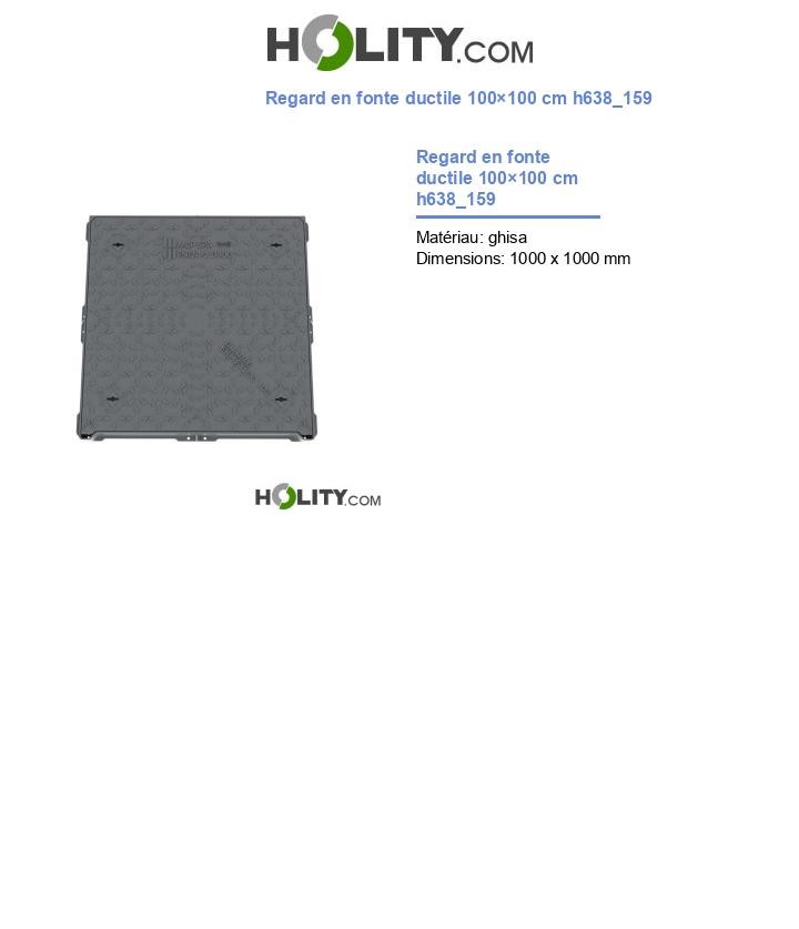 Regard en fonte ductile 100×100 cm h638_159