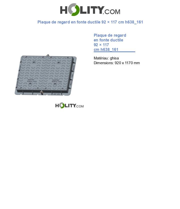 Plaque de regard en fonte ductile 92 × 117 cm h638_161