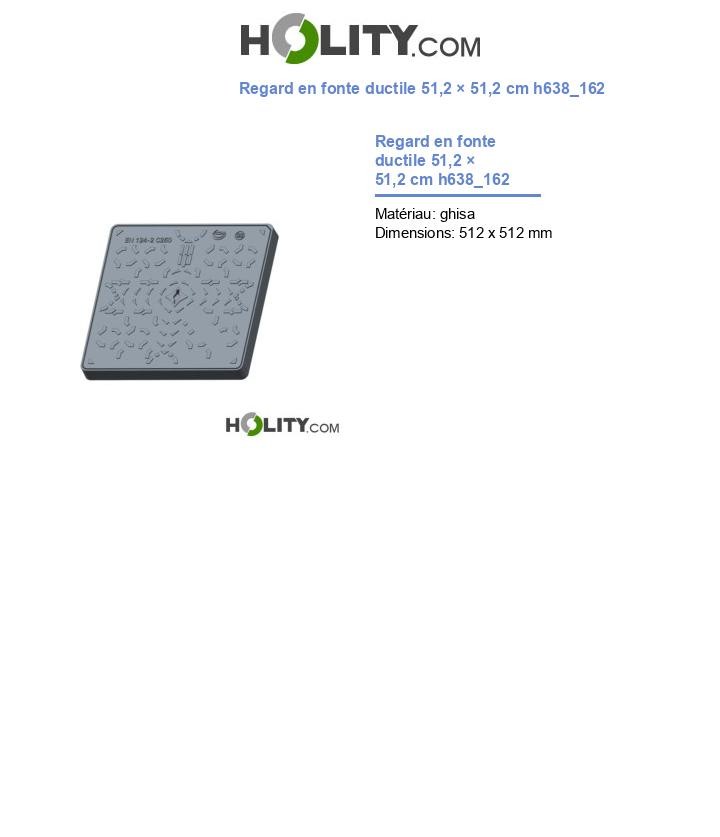 Regard en fonte ductile 51,2 × 51,2 cm h638_162