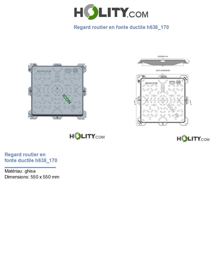 Regard routier en fonte ductile h638_170
