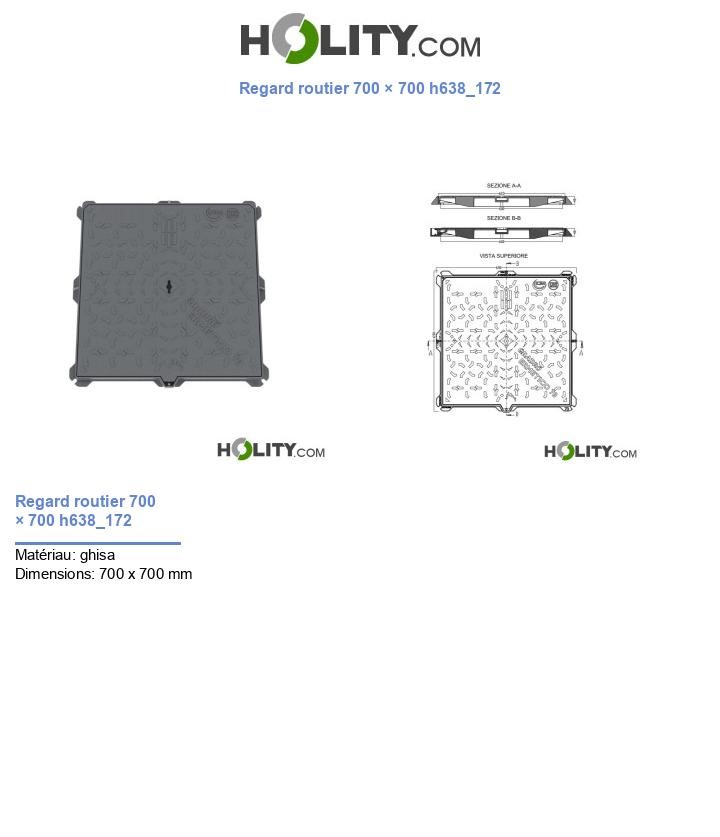 Regard routier 700 × 700 h638_172