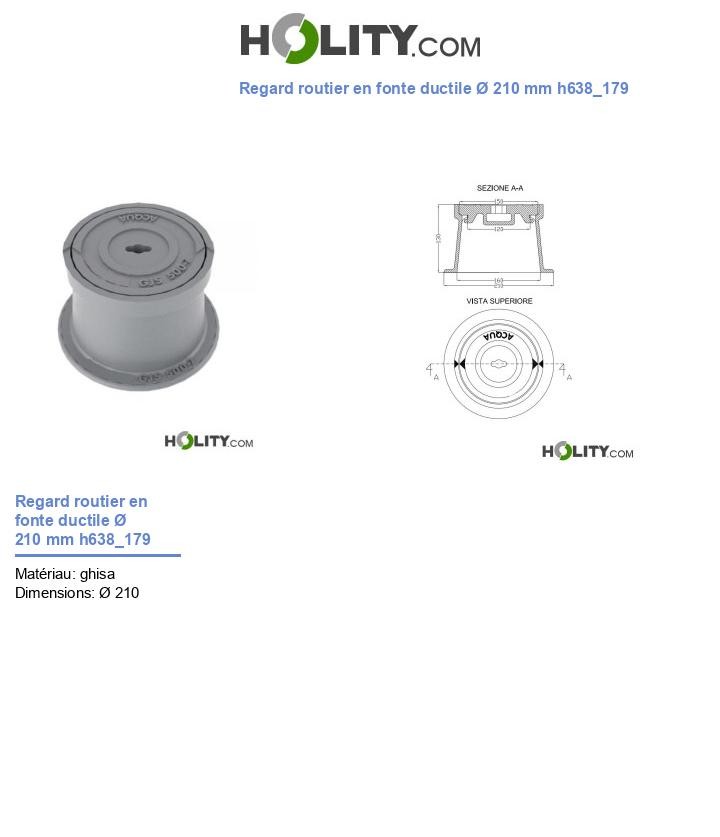 Regard routier en fonte ductile Ø 210 mm h638_179