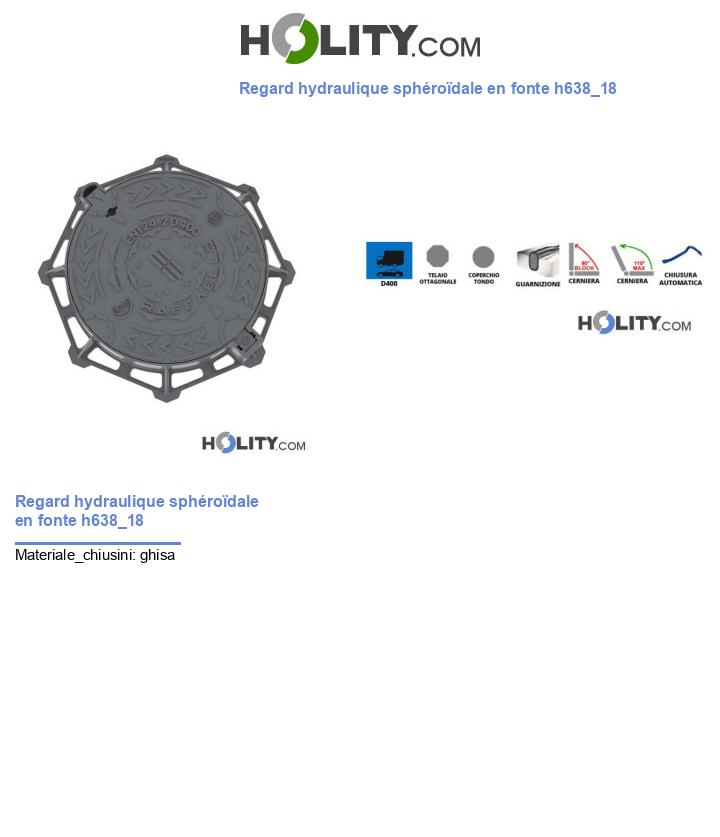 Regard hydraulique sphéroïdale en fonte h638_18