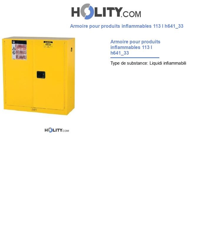 Armoire pour produits inflammables 113 l h641_33