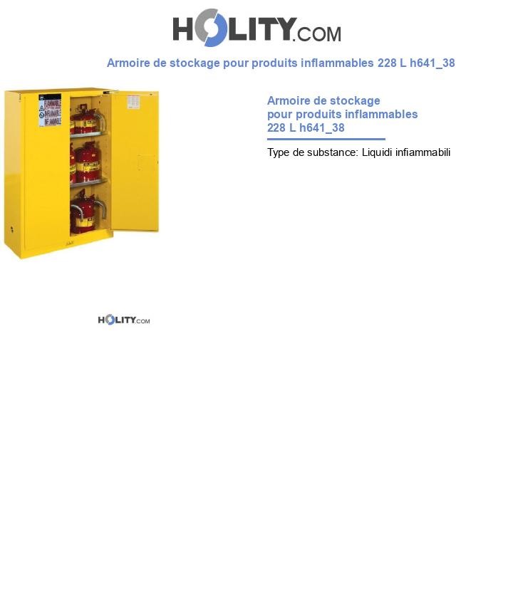 Armoire de stockage pour produits inflammables 228 L h641_38