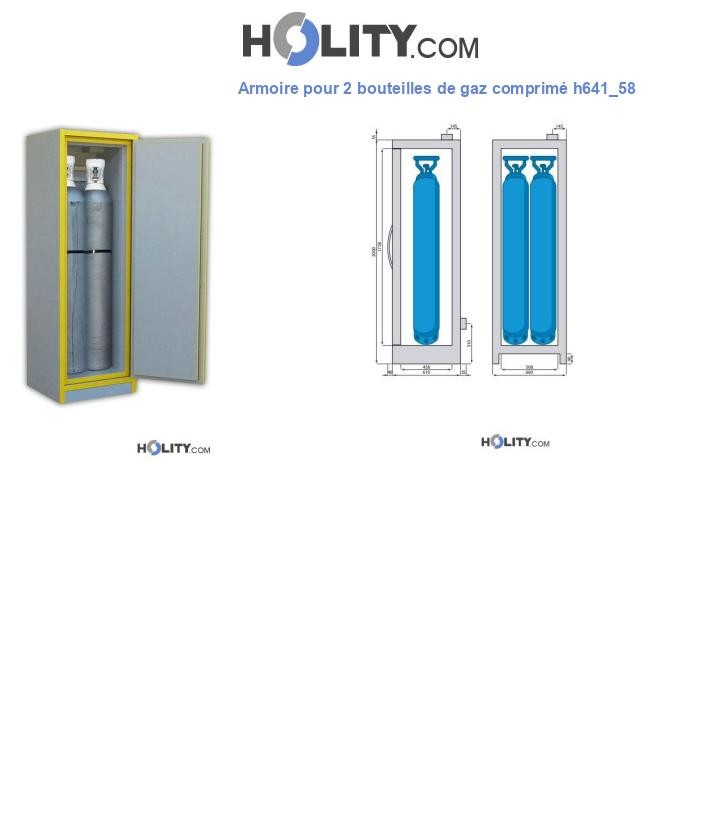 Armoire pour 2 bouteilles de gaz comprimé h641_58