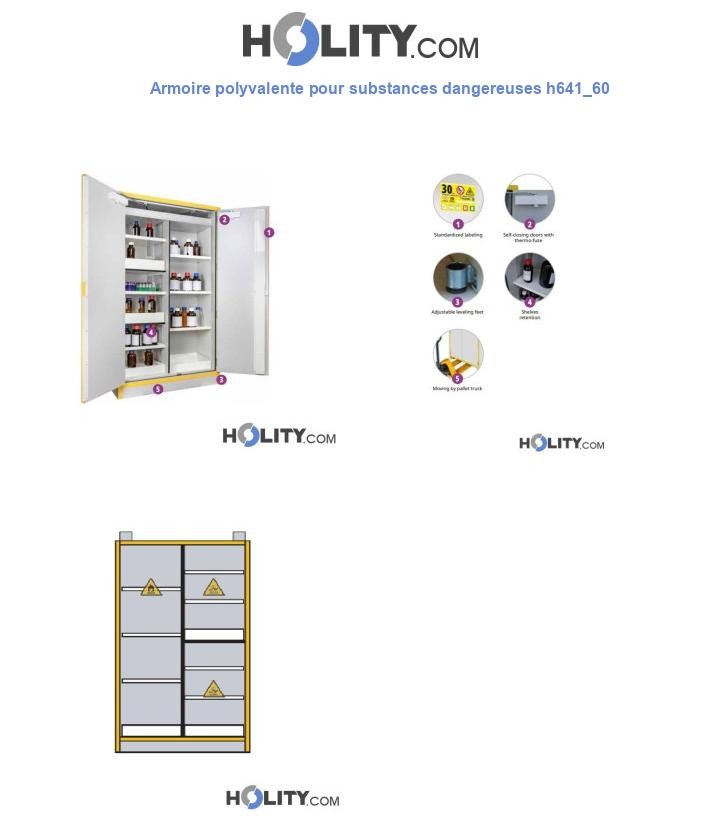Armoire polyvalente pour substances dangereuses h641_60