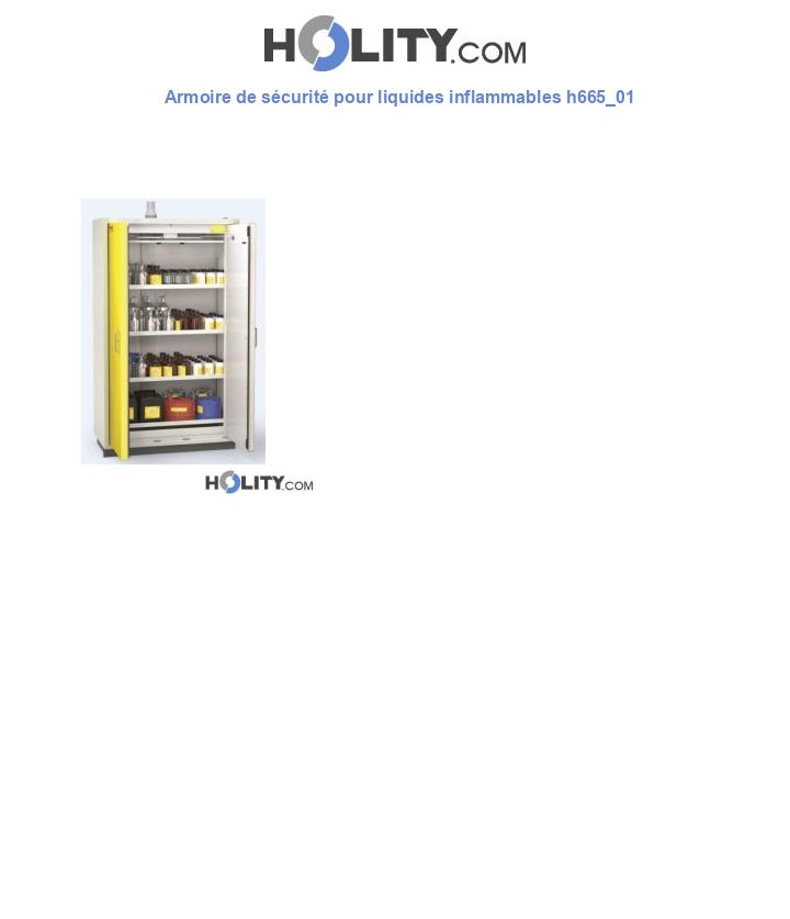 Armoire de sécurité pour liquides inflammables h665_01