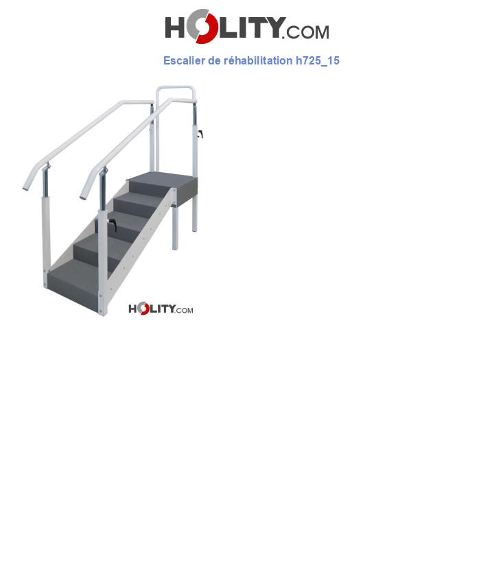 Escalier de réhabilitation h725_15