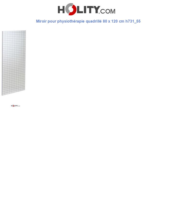 Miroir pour physiothérapie quadrillé 80 x 120 cm h731_55