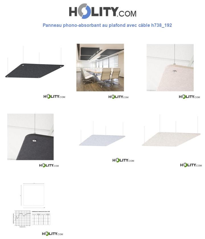 Panneau phono-absorbant au plafond avec câble h738_192