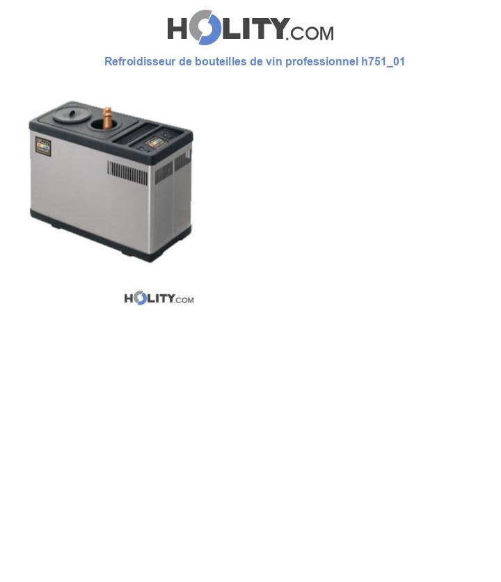 Refroidisseur de bouteilles de vin professionnel h751_01