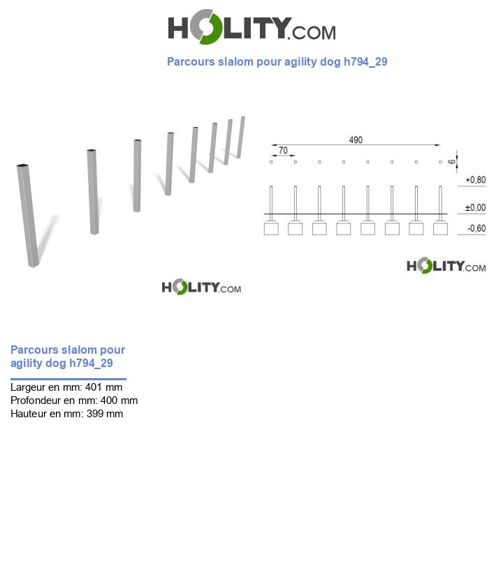 Parcours slalom pour agility dog h794_29