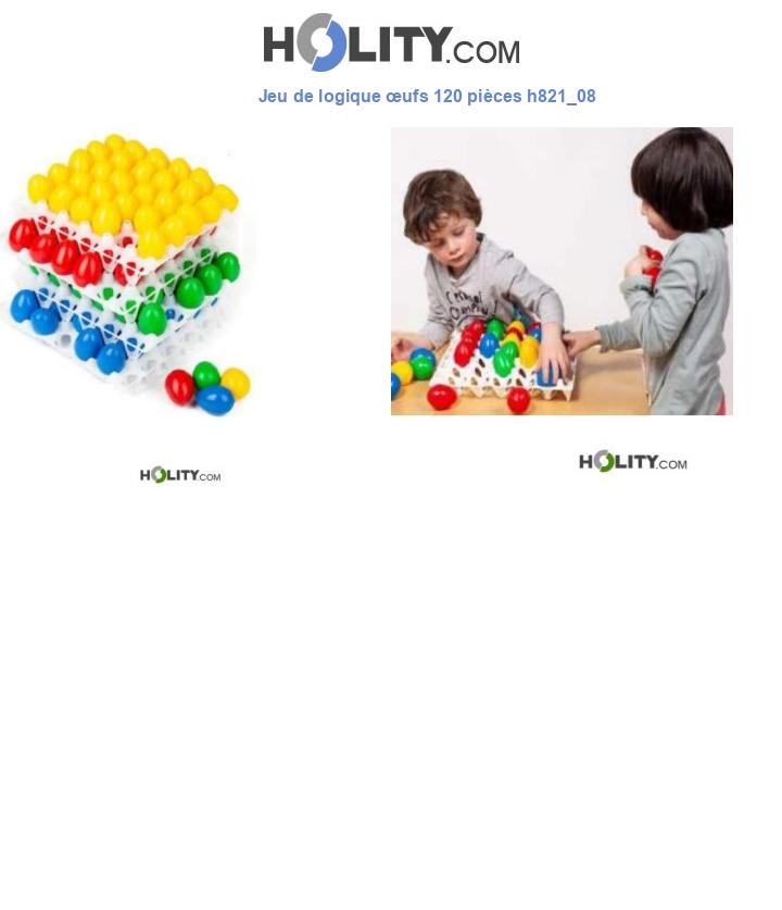 Jeu de logique œufs 120 pièces h821_08
