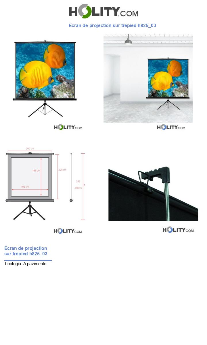 Écran de projection sur trépied h825_03