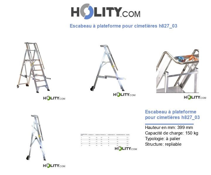 Escabeau à plateforme pour cimetières h827_03