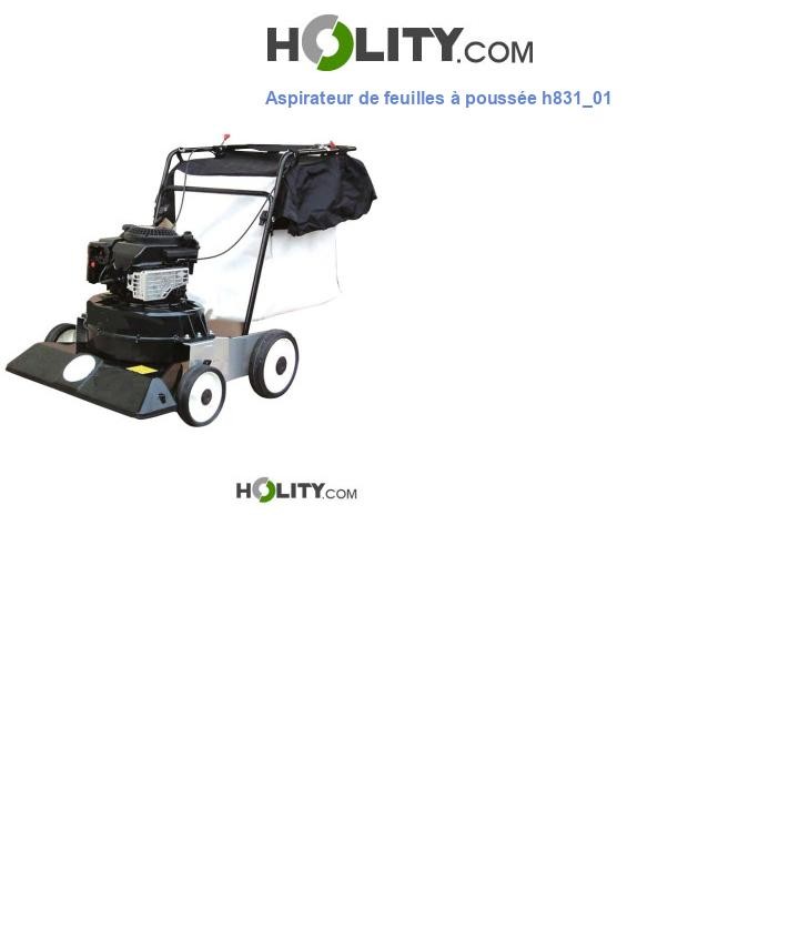 Aspirateur de feuilles à poussée h831_01