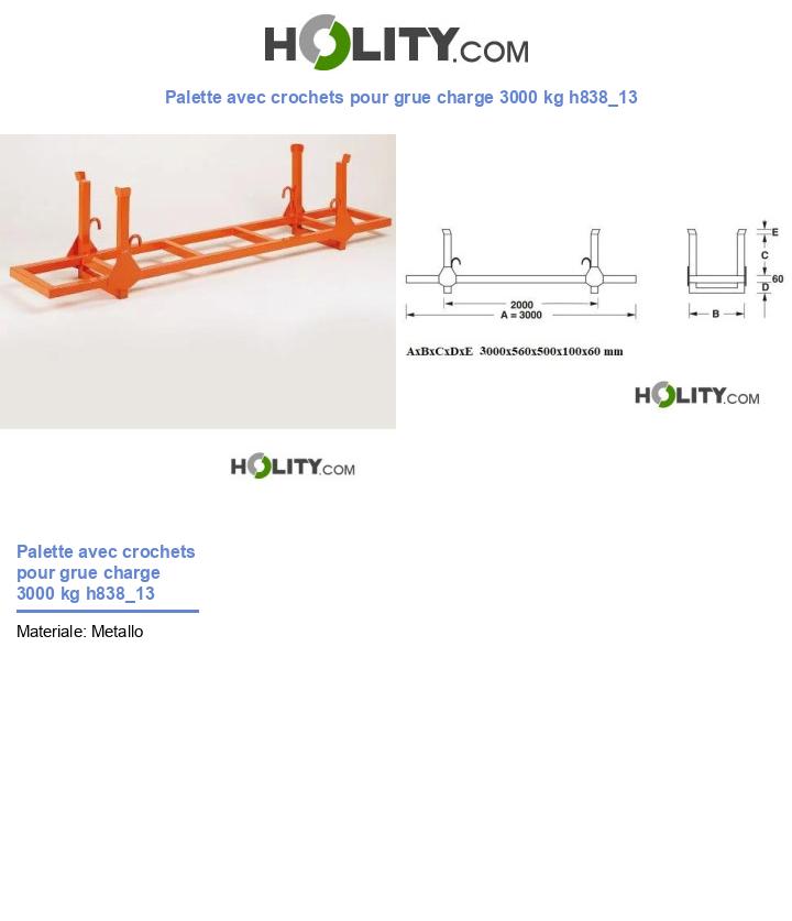 Palette avec crochets pour grue charge 3000 kg h838_13