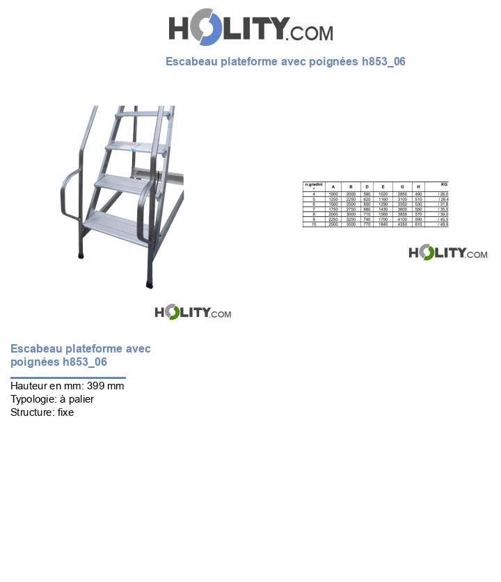 Escabeau plateforme avec poignées h853_06