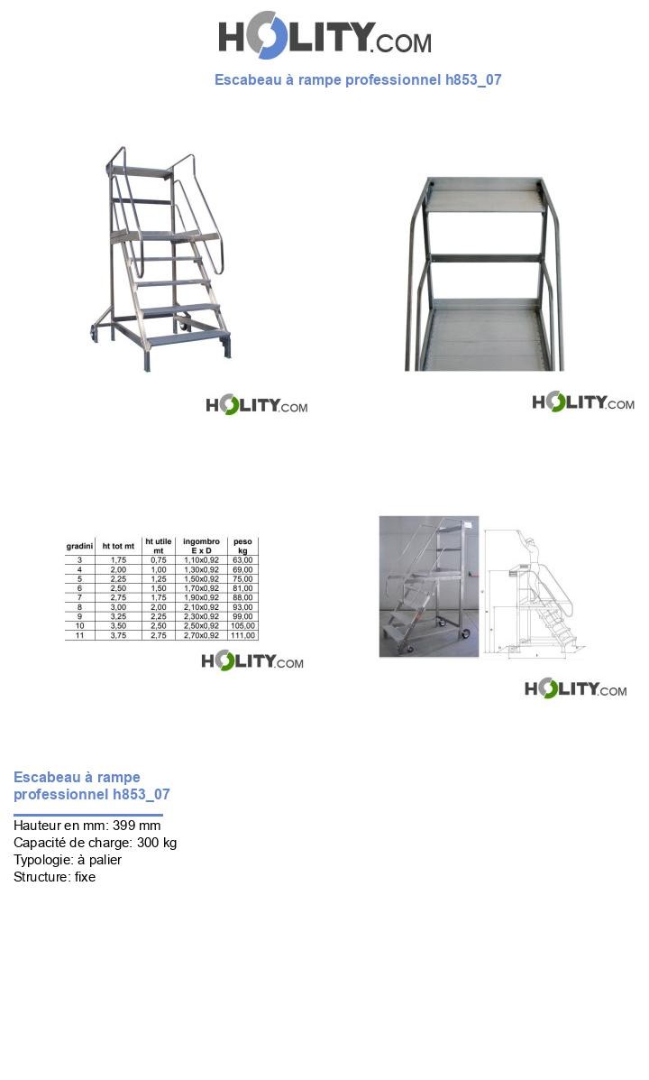 Escabeau à rampe professionnel h853_07