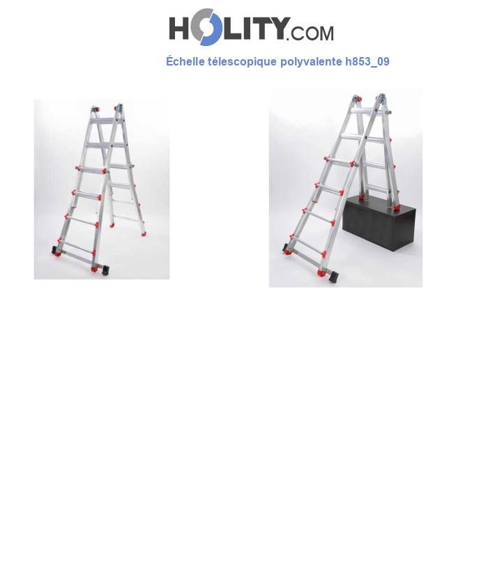 Échelle télescopique polyvalente h853_09