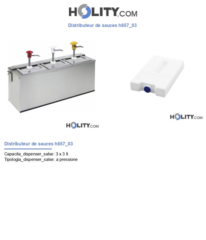 Distributeur de sauces h857_03