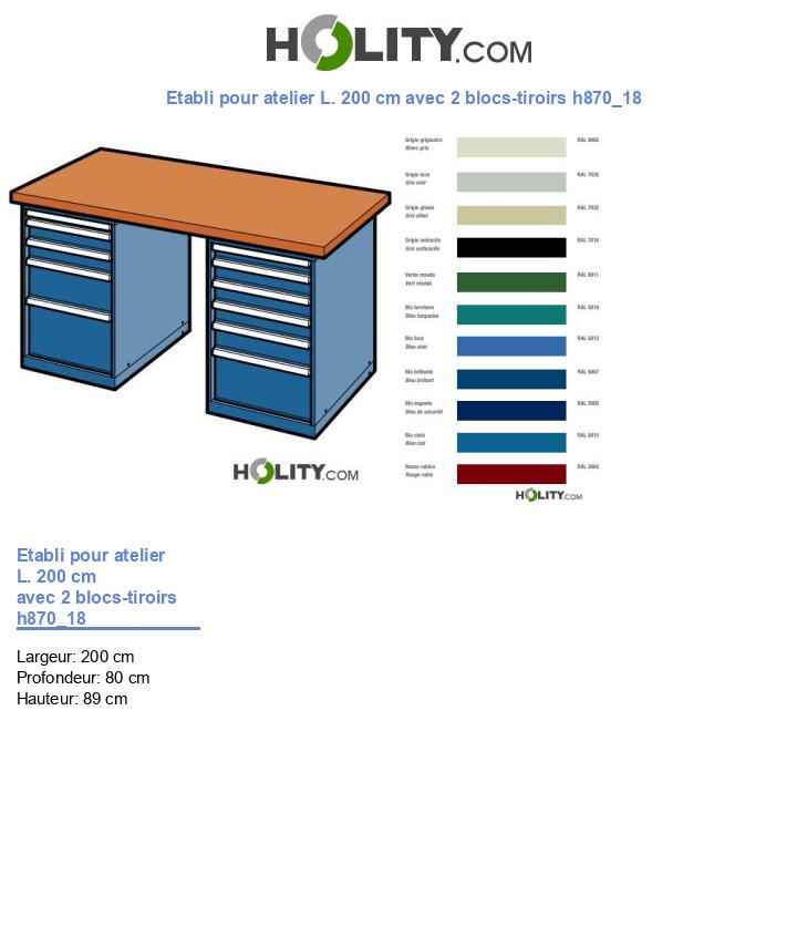 Etabli pour atelier L. 200 cm avec 2 blocs-tiroirs h870_18