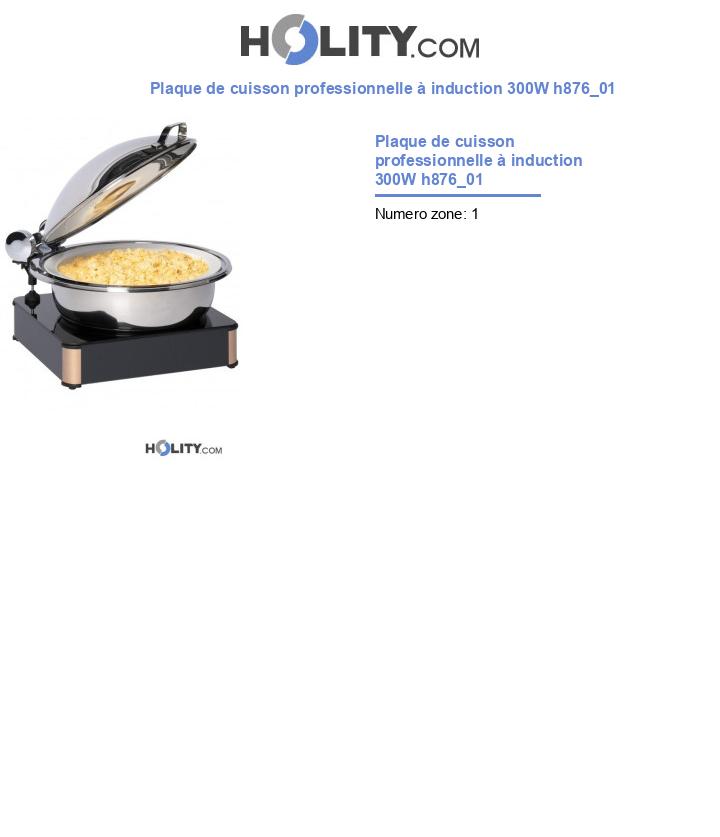 Plaque de cuisson professionnelle à induction 300W h876_01