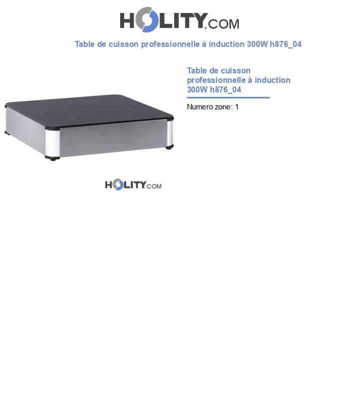 Table de cuisson professionnelle à induction 300W h876_04