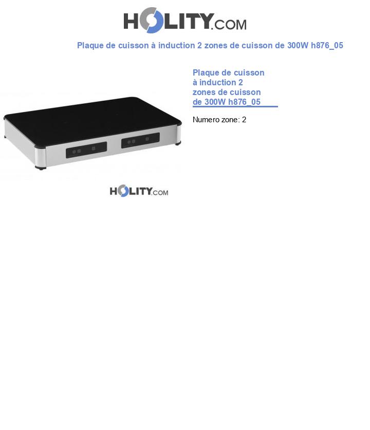Plaque de cuisson à induction 2 zones de cuisson de 300W h876_05