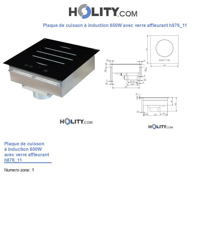 Plaque de cuisson à induction 650W avec verre affleurant h876_11
