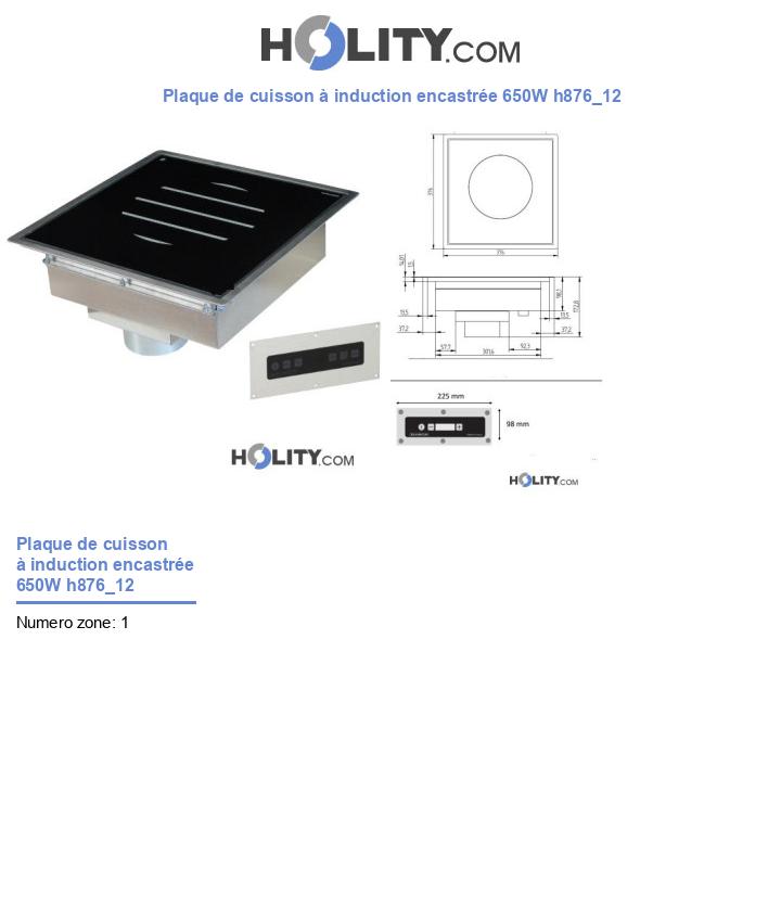 Plaque de cuisson à induction encastrée 650W h876_12