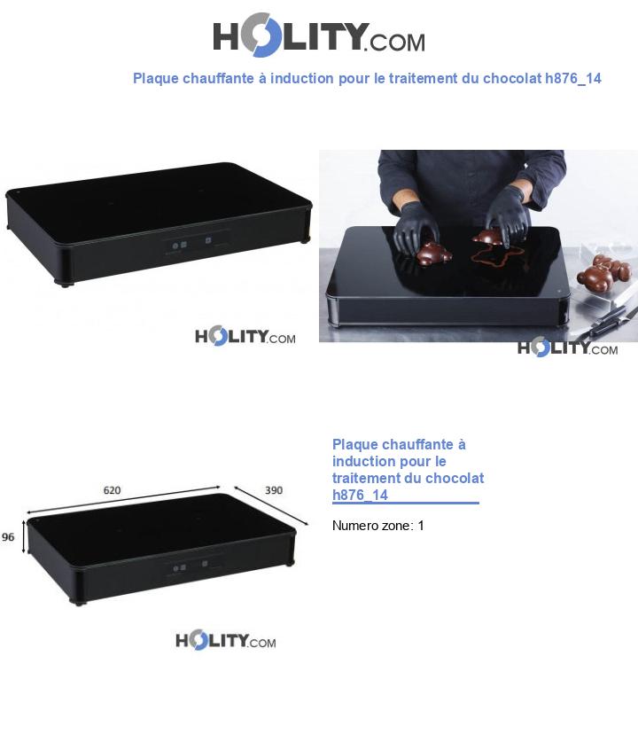 Plaque chauffante à induction pour le traitement du chocolat h876_14