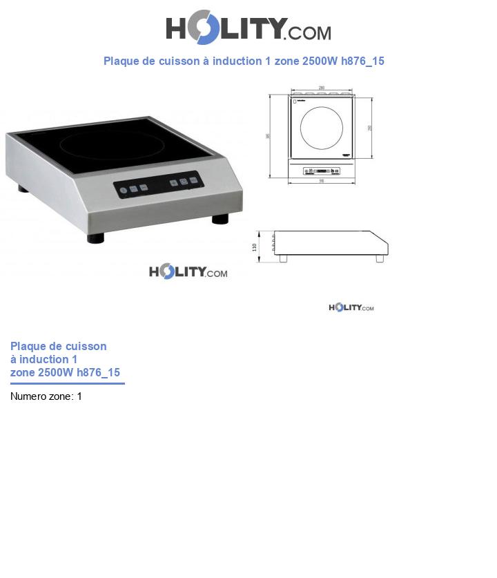 Plaque de cuisson à induction 1 zone 2500W h876_15